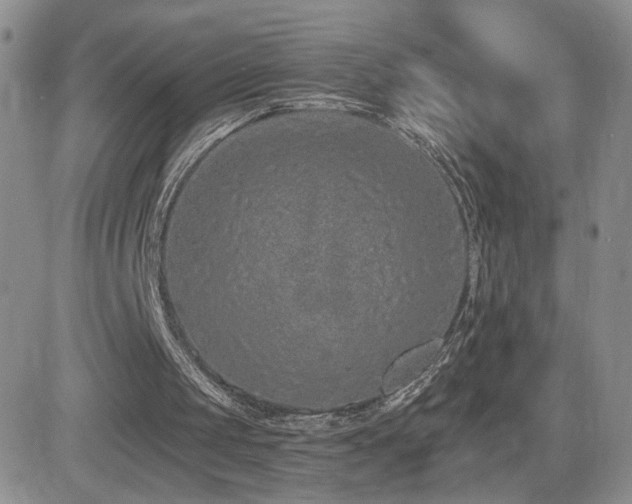 X0000082680049200701261206