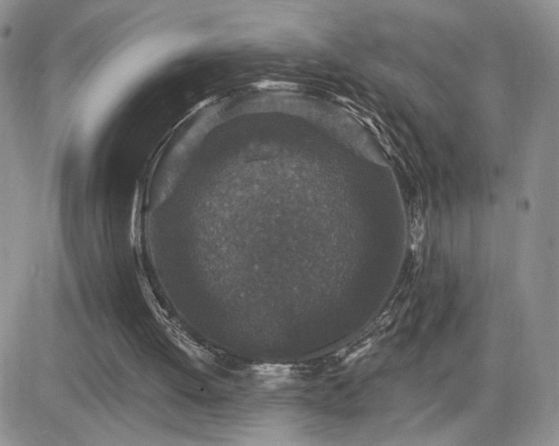 X0000082680052200701261206