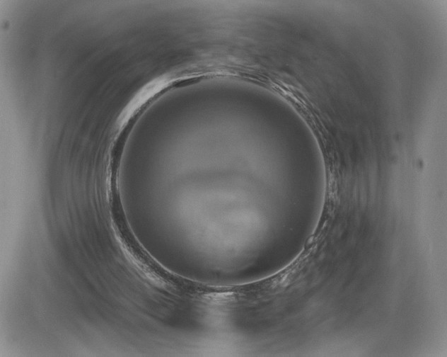 X0000082680054200701261206