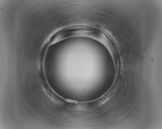 X0000082680060200701261206