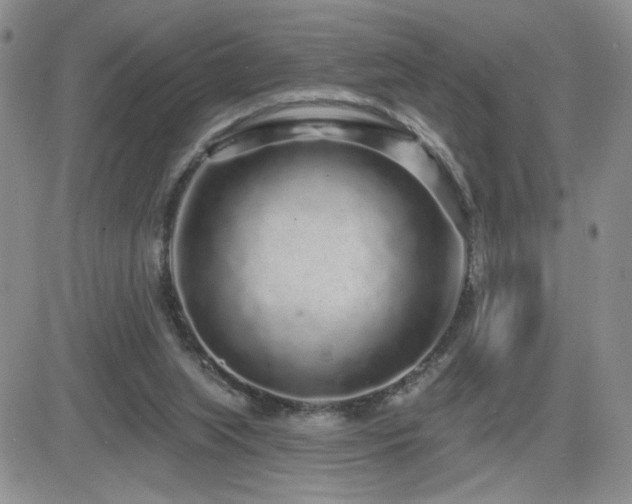 X0000082680063200701261206