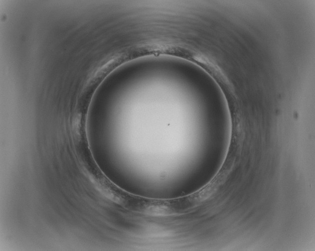 X0000082680066200701261206