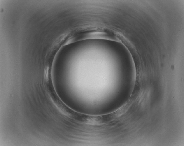 X0000082680070200701261206