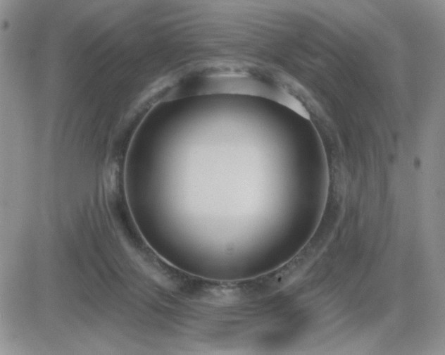 X0000082680071200701261206