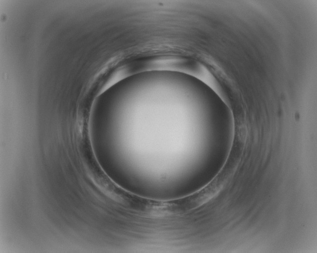 X0000082680072200701261206