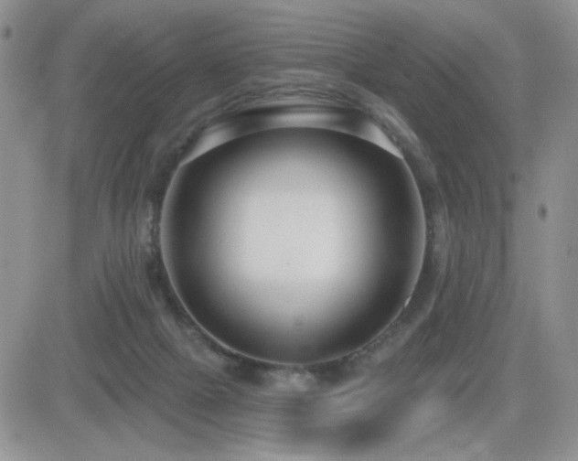 X0000082680073200701261206