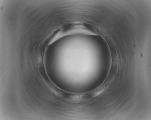 X0000082680084200701261206
