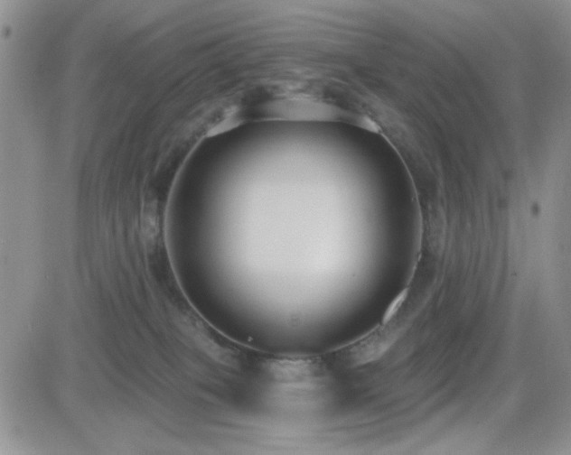 X0000082680085200701261206