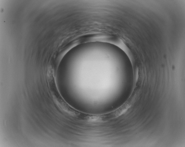 X0000082680088200701261206