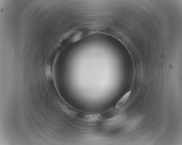 X0000082680089200701261206