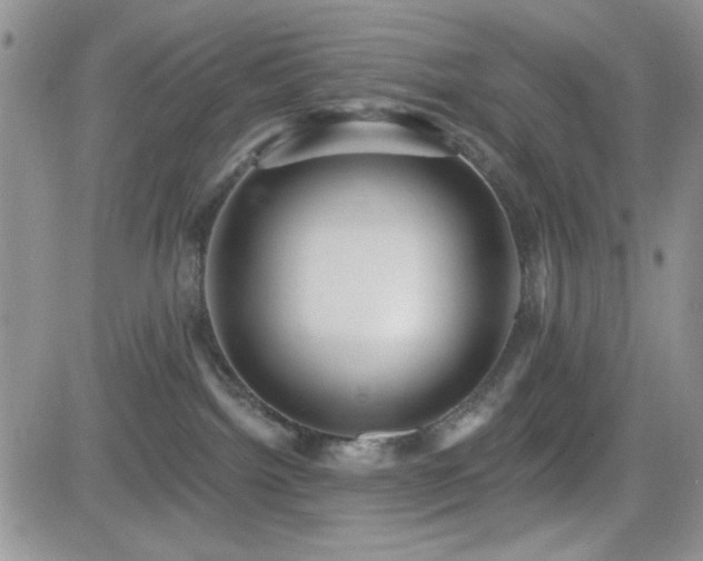 X0000082680092200701261206