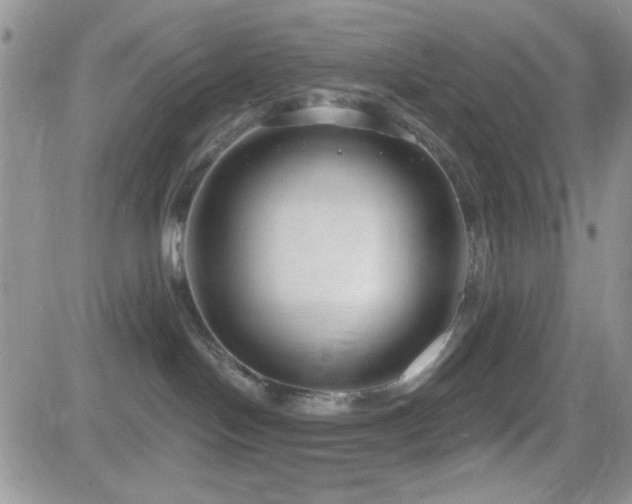 X0000082680094200701261206