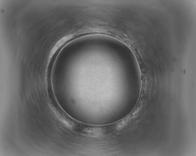 X0000082680104200701261205