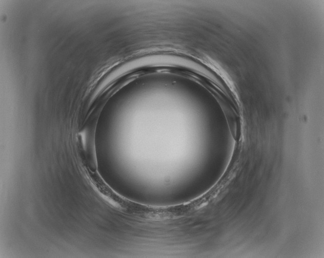 X0000082680105200701261205