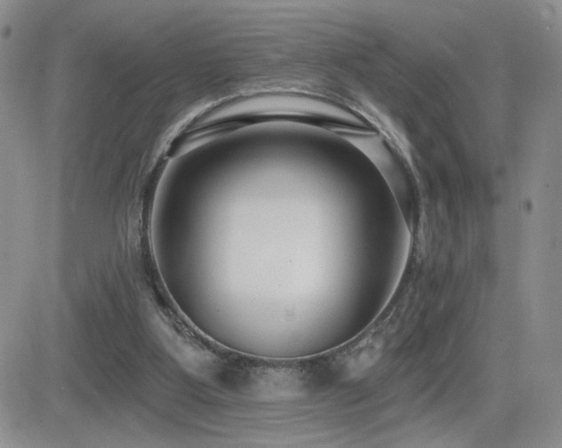 X0000082680107200701261205