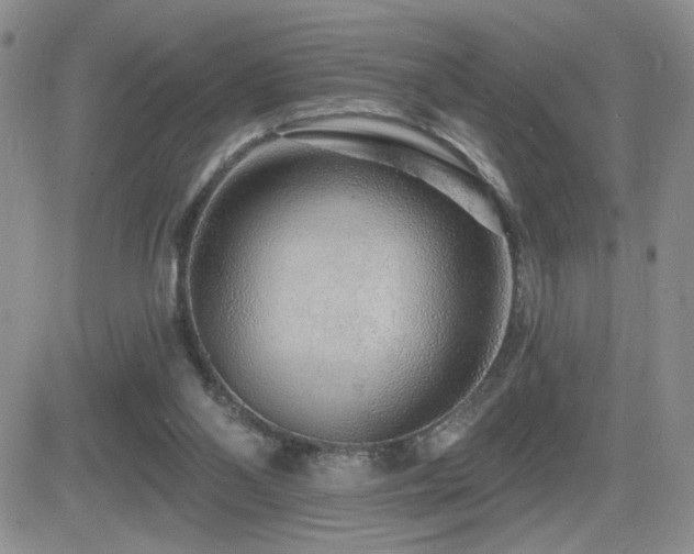 X0000082680110200701261205