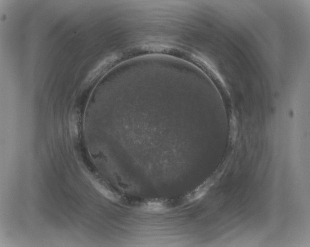 X0000082680114200701261205