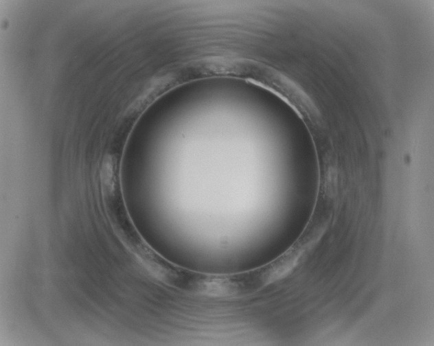 X0000082680121200701261205