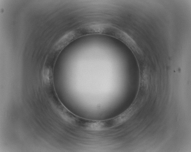 X0000082680122200701261205