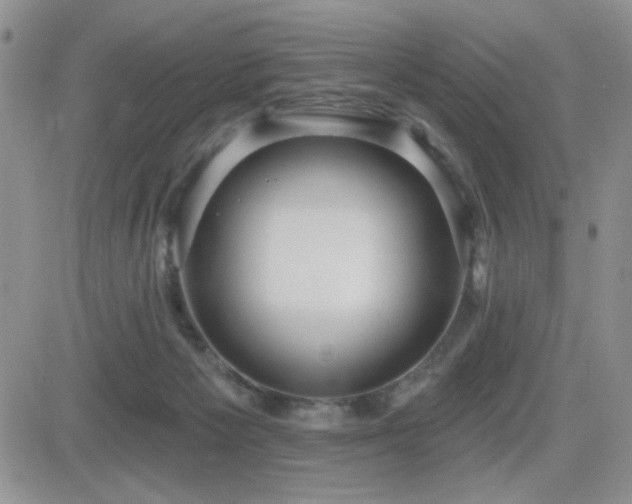 X0000082680125200701261205