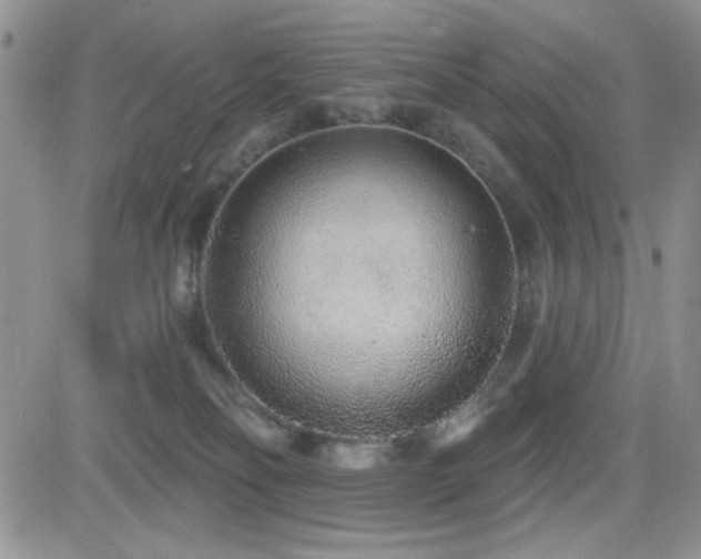 X0000082680134200701261205