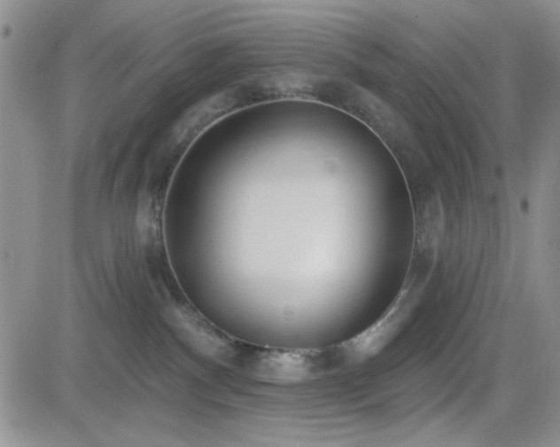 X0000082680140200701261205