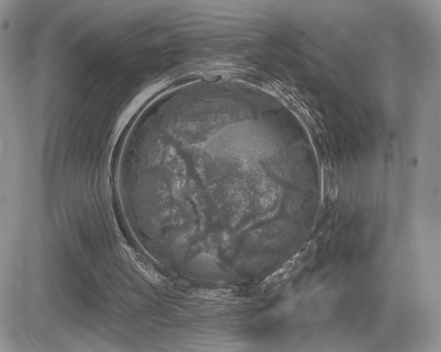 X0000082680147200701261204