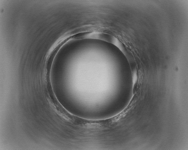 X0000082680150200701261204