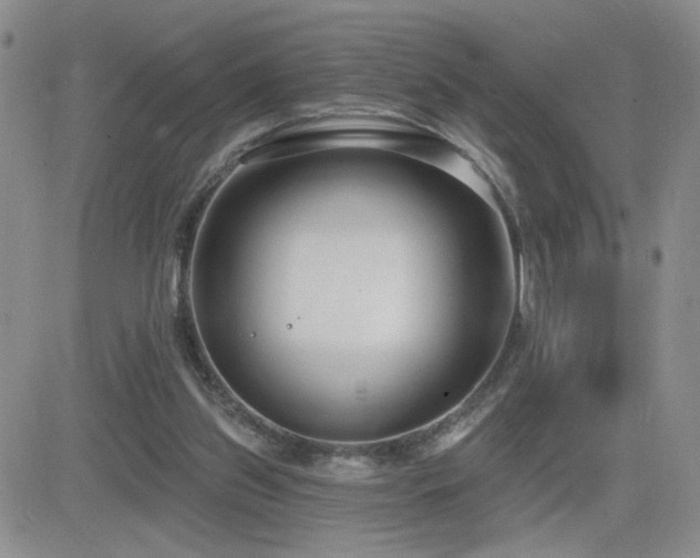 X0000082680157200701261204