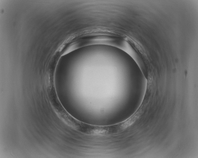 X0000082680158200701261204