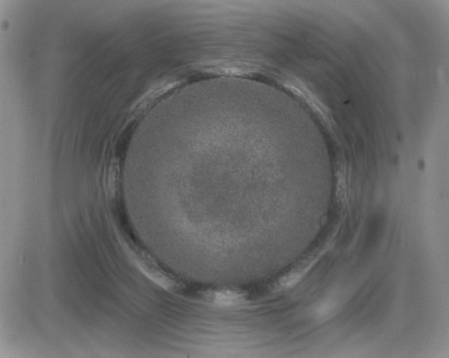 X0000082680165200701261204