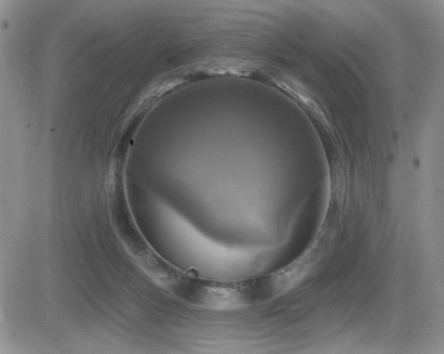 X0000082680167200701261204