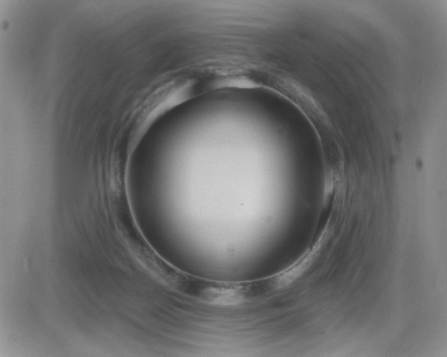 X0000082680170200701261204