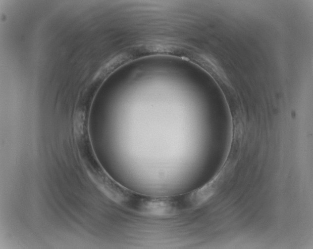 X0000082680171200701261204