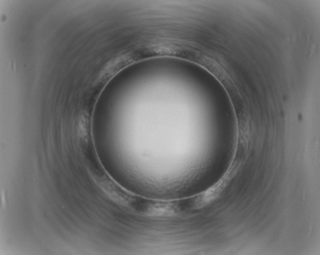 X0000082680175200701261204
