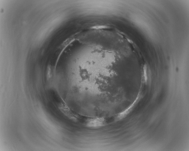 X0000082680191200701261205