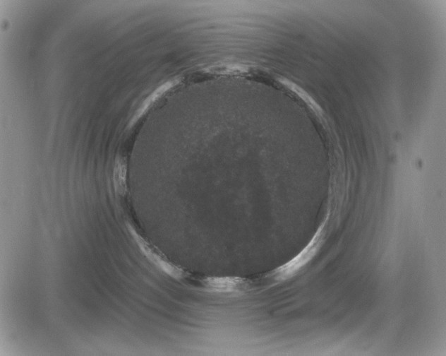 X0000082680192200701261205