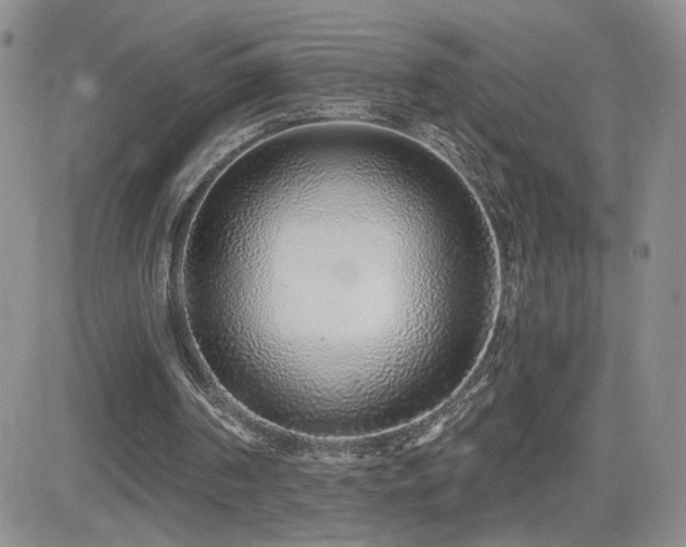 X0000082680194200701261204