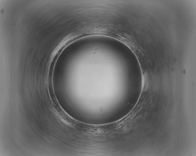 X0000082680195200701261204