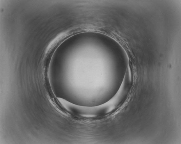X0000082680197200701261204