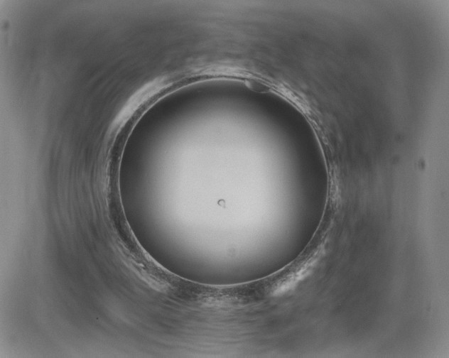 X0000082680199200701261204