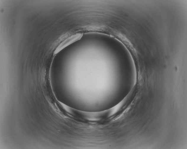 X0000082680201200701261204