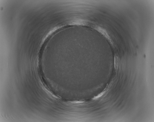 X0000082680204200701261204