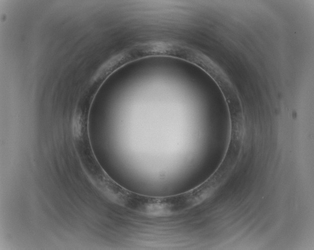 X0000082680216200701261204