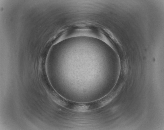 X0000082680217200701261204