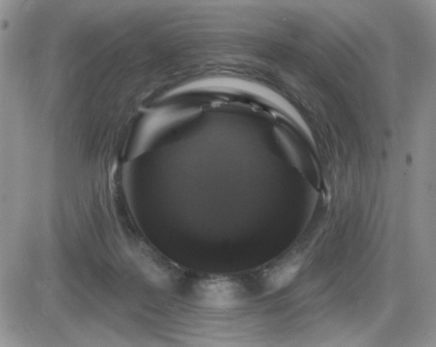X0000082680219200701261204