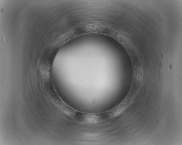 X0000082680226200701261203