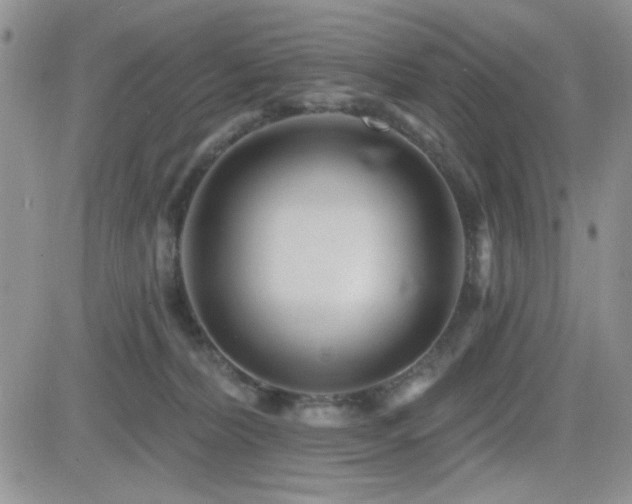 X0000082680228200701261203