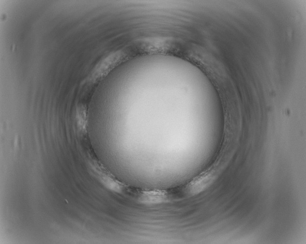X0000082680240200701261203
