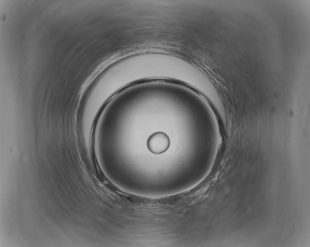 X0000082680244200701261202